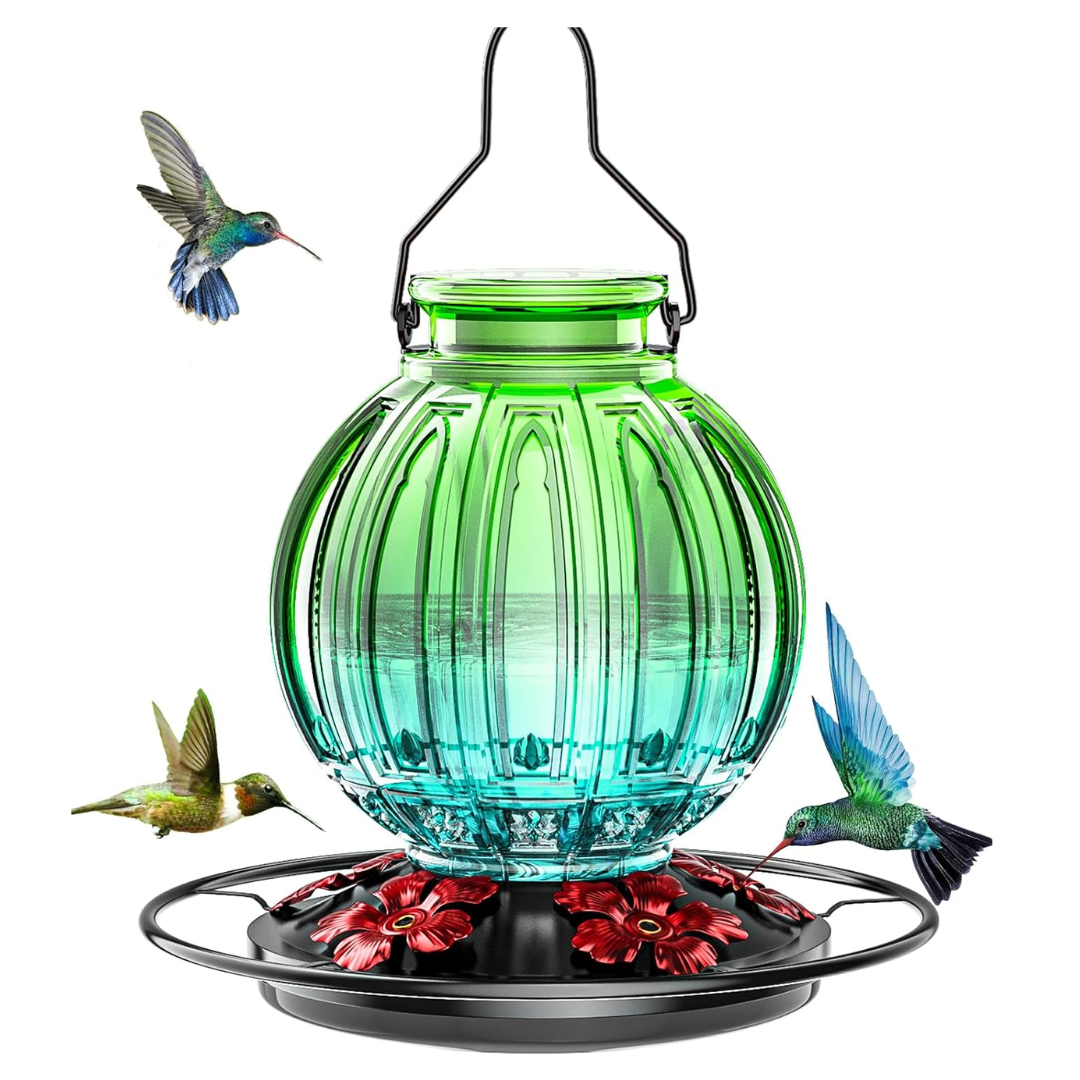 Glass Hummingbird Oasis