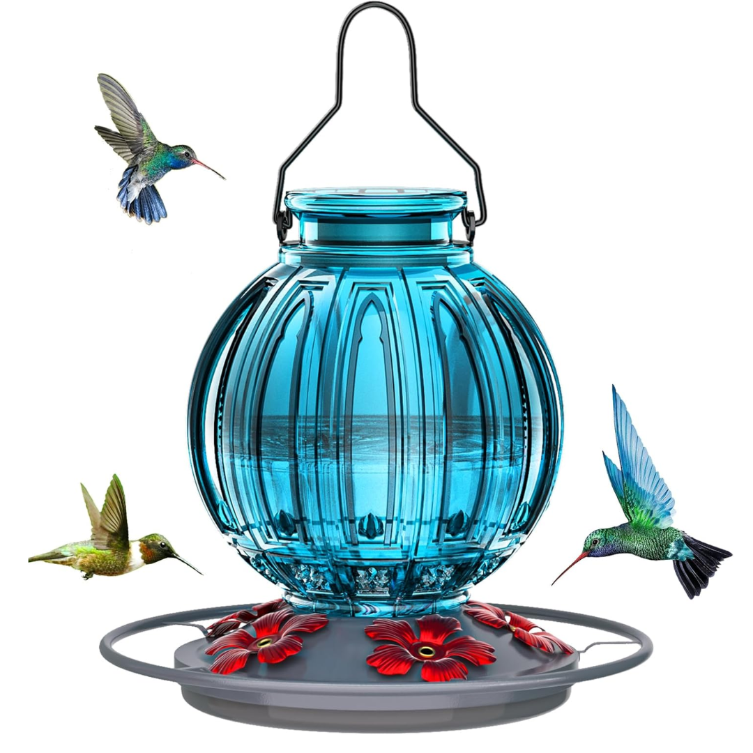 Glass Hummingbird Oasis