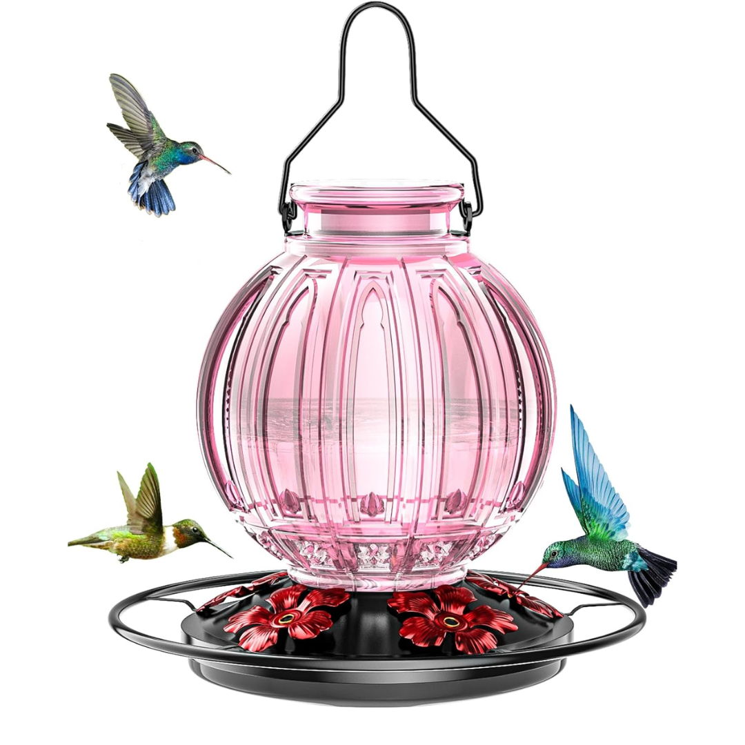 Glass Hummingbird Oasis