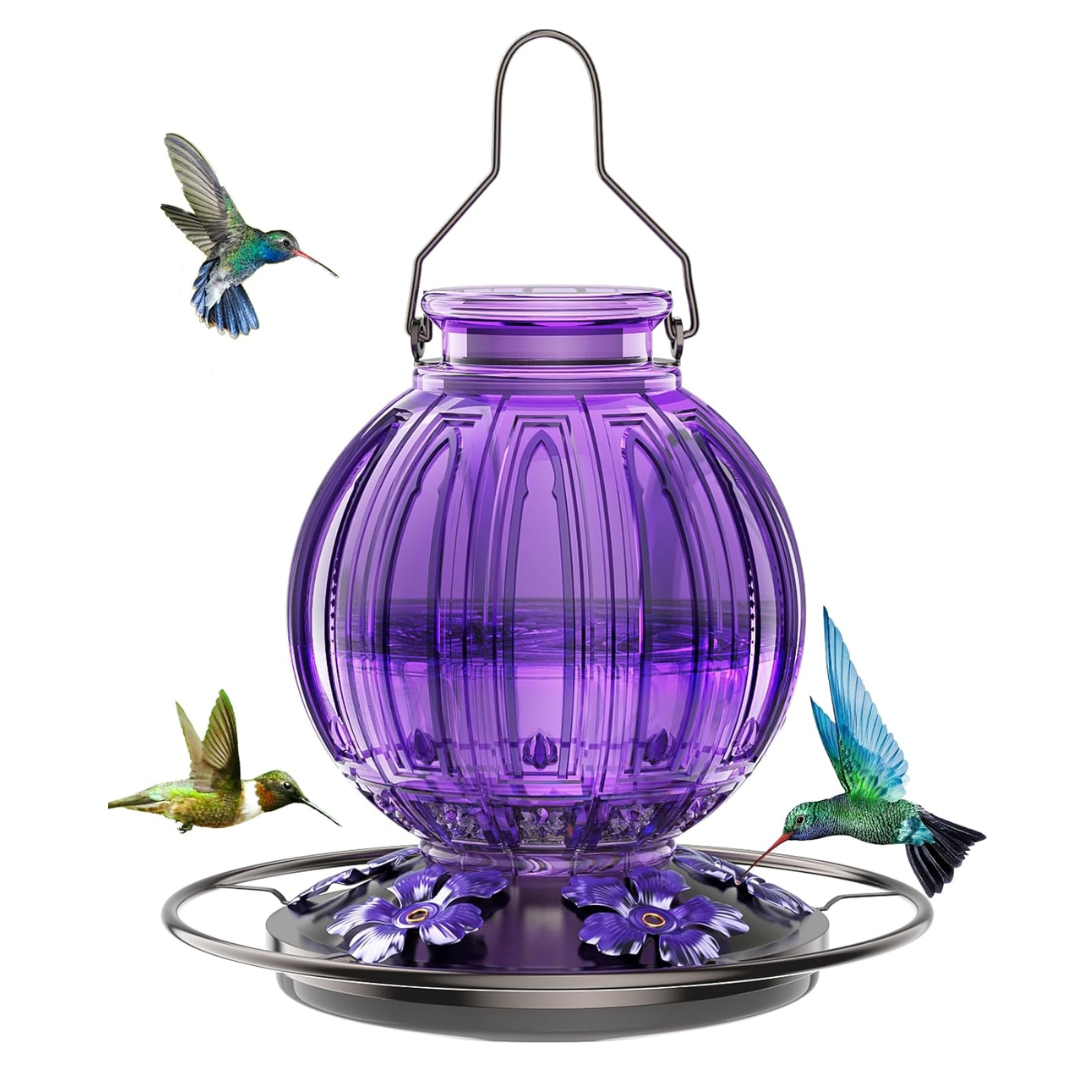Glass Hummingbird Oasis