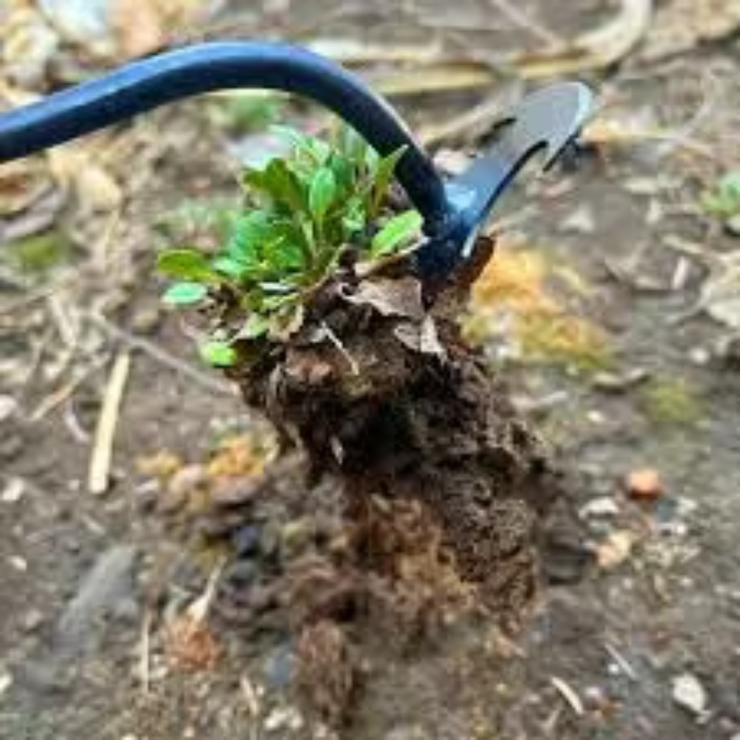 Garden PrecisionRoot™ Weeder