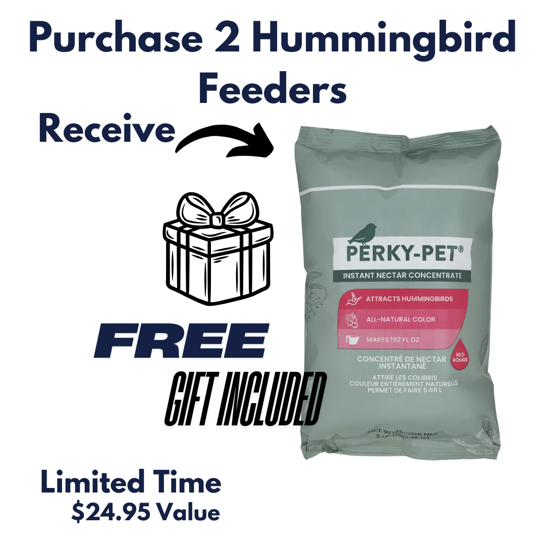 Cascading Hummingbird Feeder