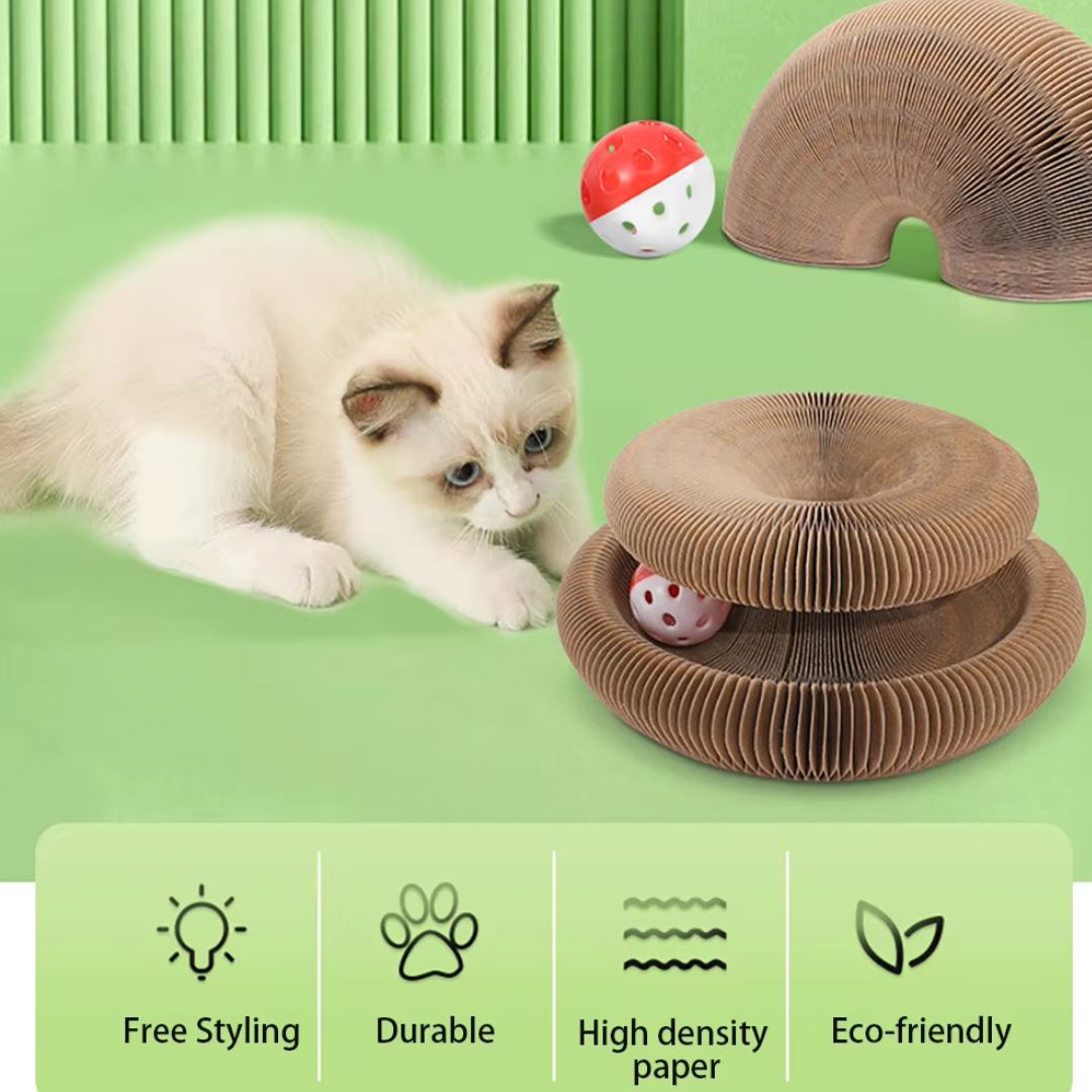 Kitty Curlz™ Magnetic Play System