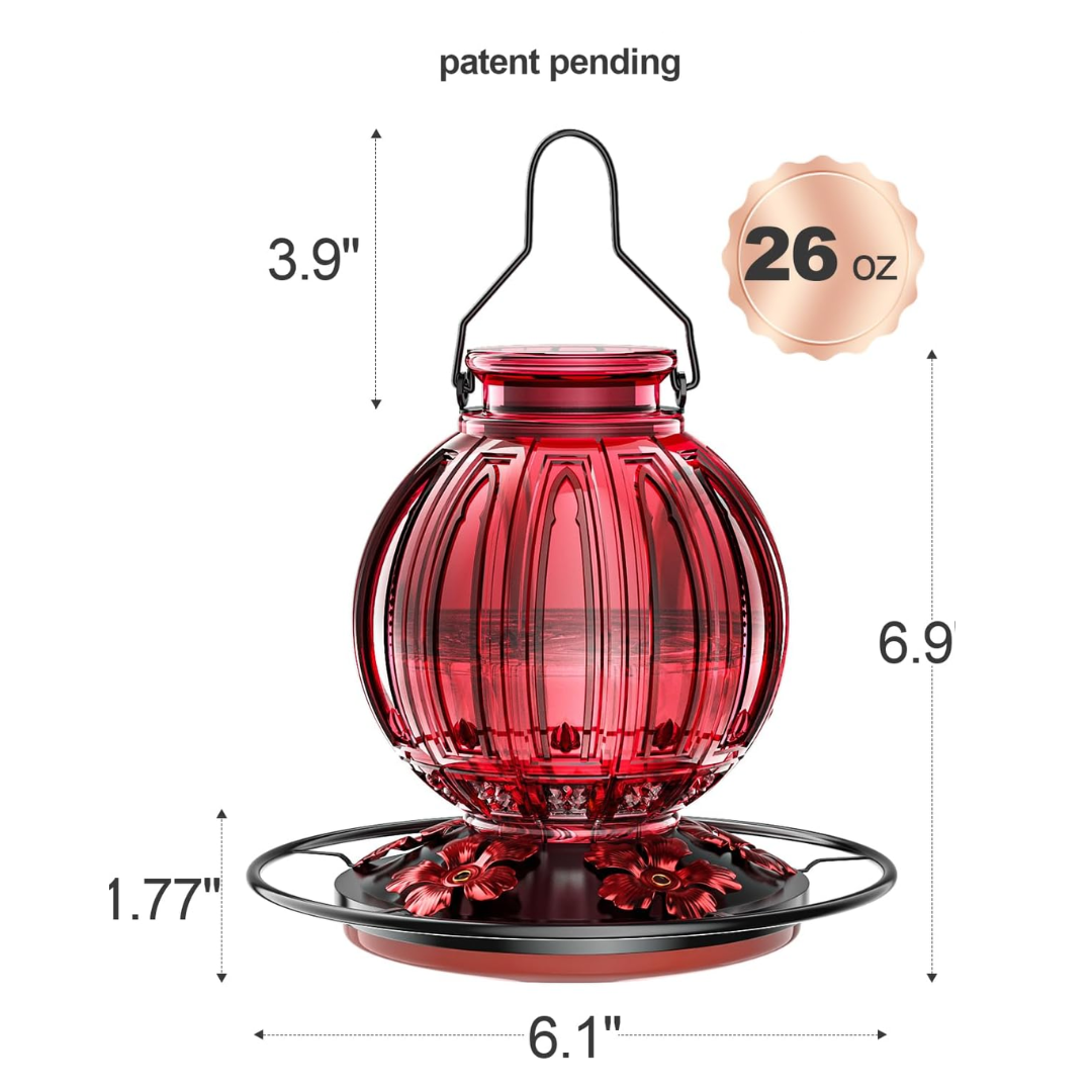 Glass Hummingbird Oasis