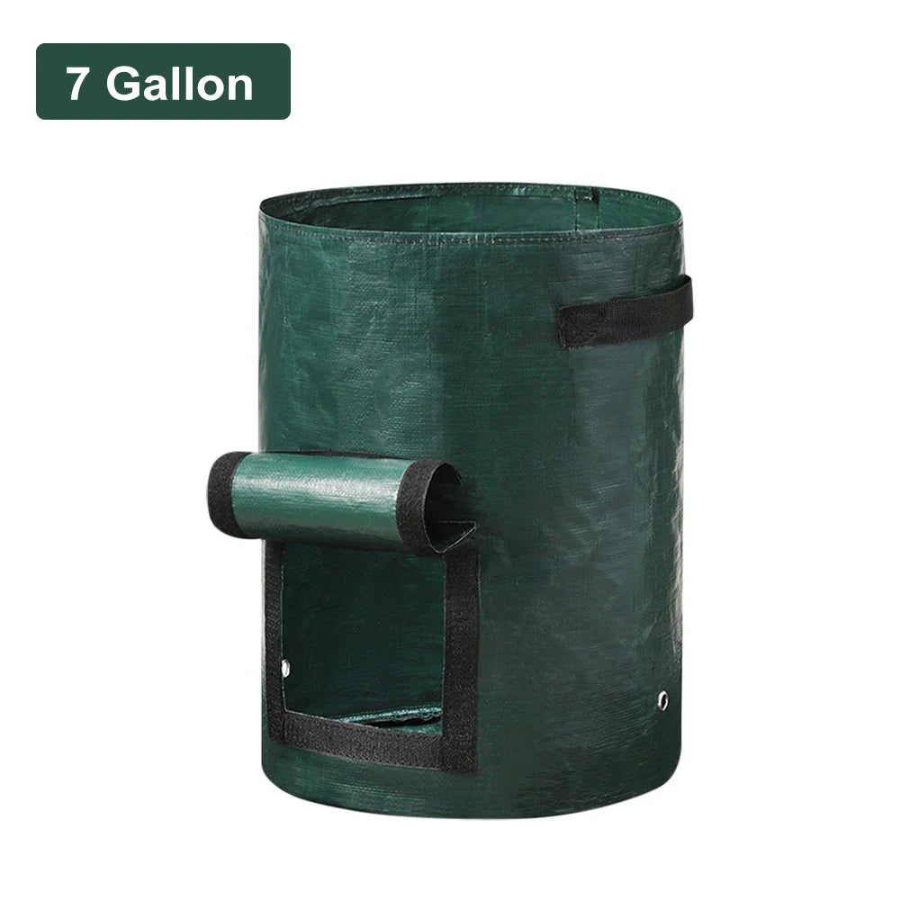 Vegetable Grow Bags