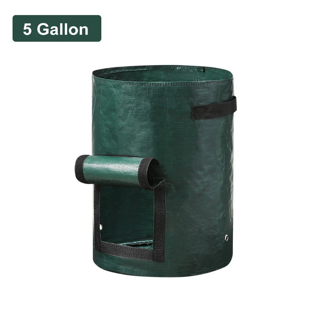 Vegetable Grow Bags