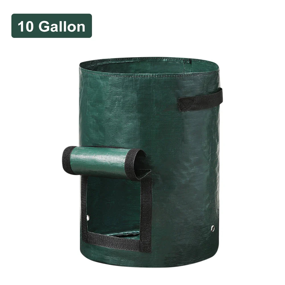 Vegetable Grow Bags