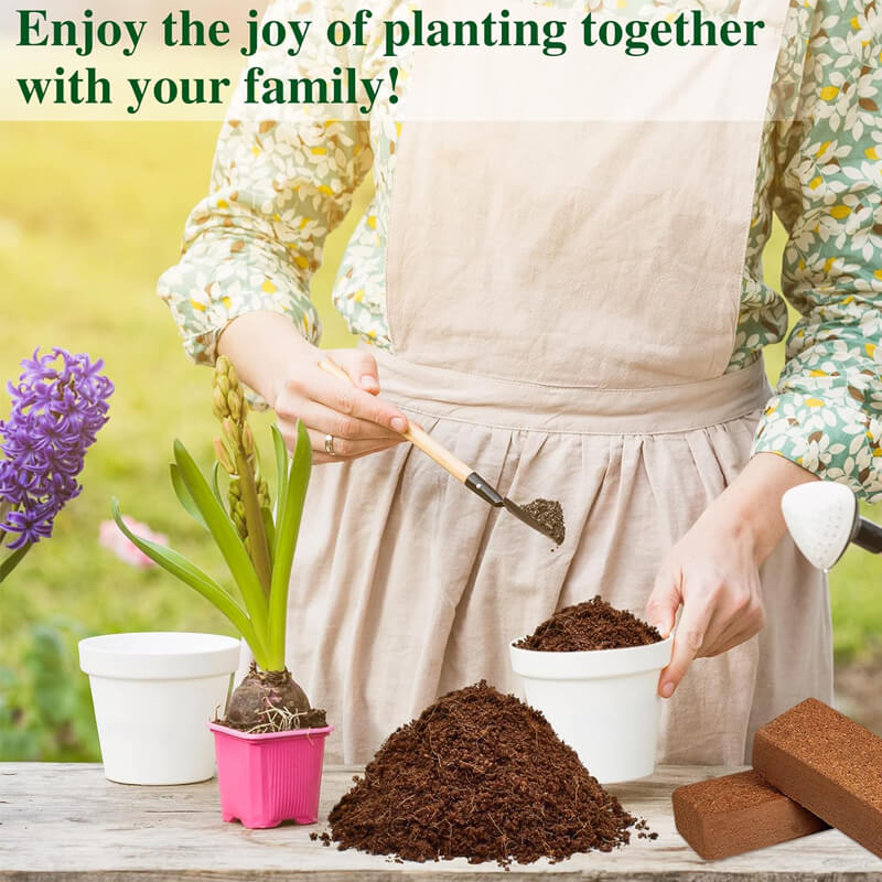 Premium Organic Coconut Coir Plant Bricks