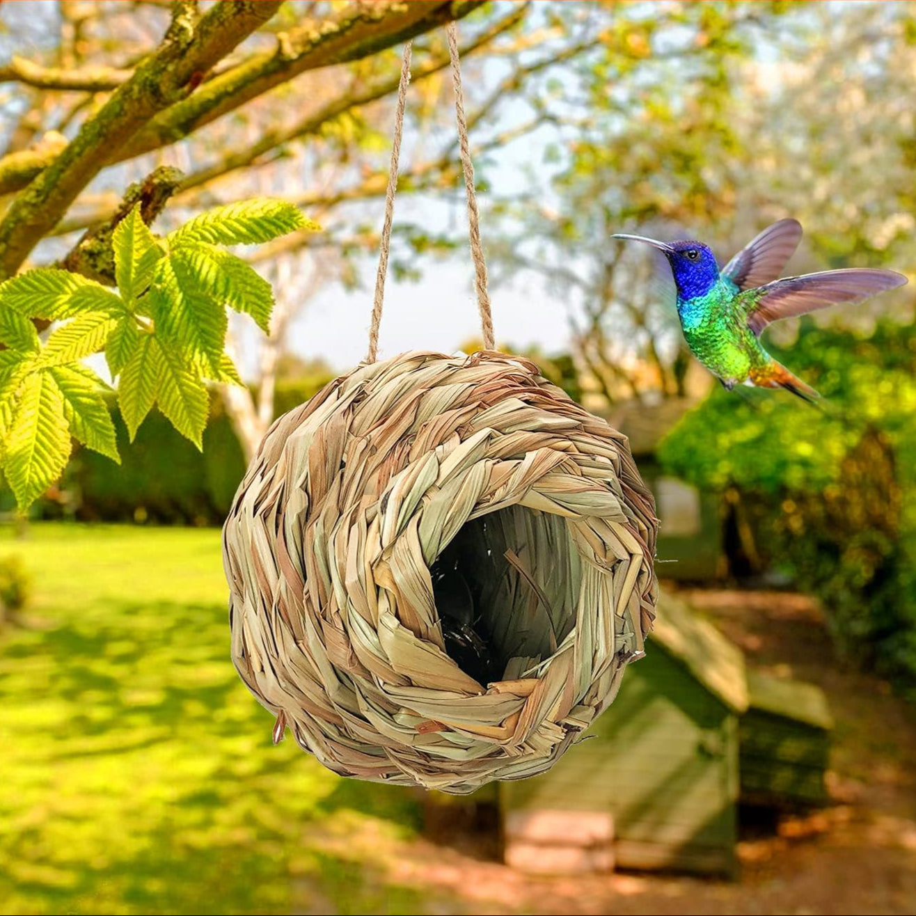 Charming Hummingbird Haven