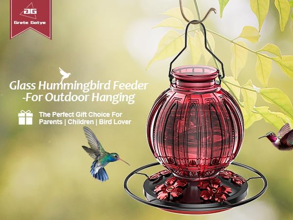 Glass Hummingbird Oasis