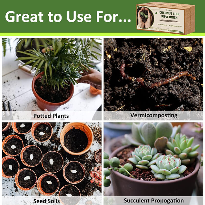 Premium Organic Coconut Coir Plant Bricks