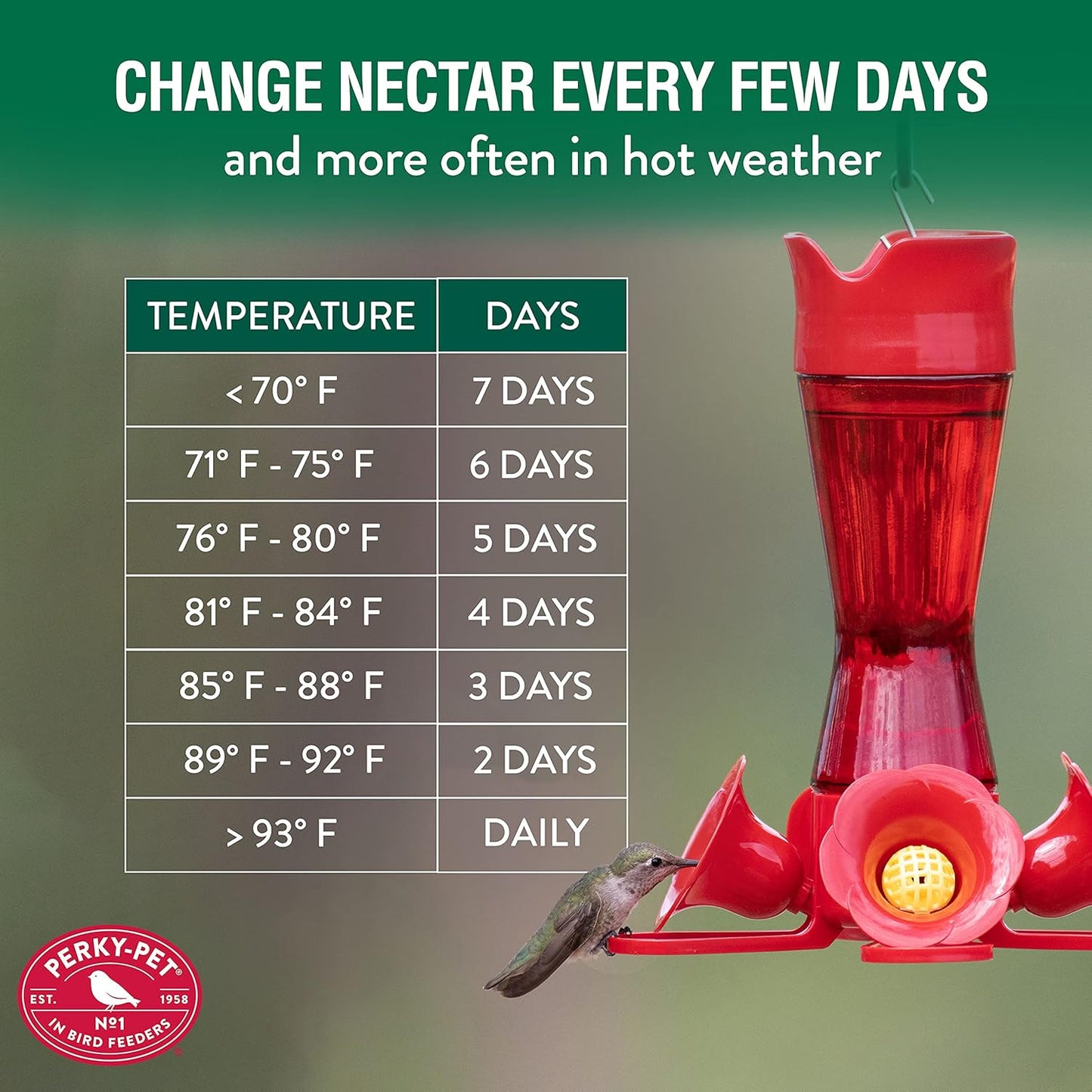 Hummingbird Red Nectar
