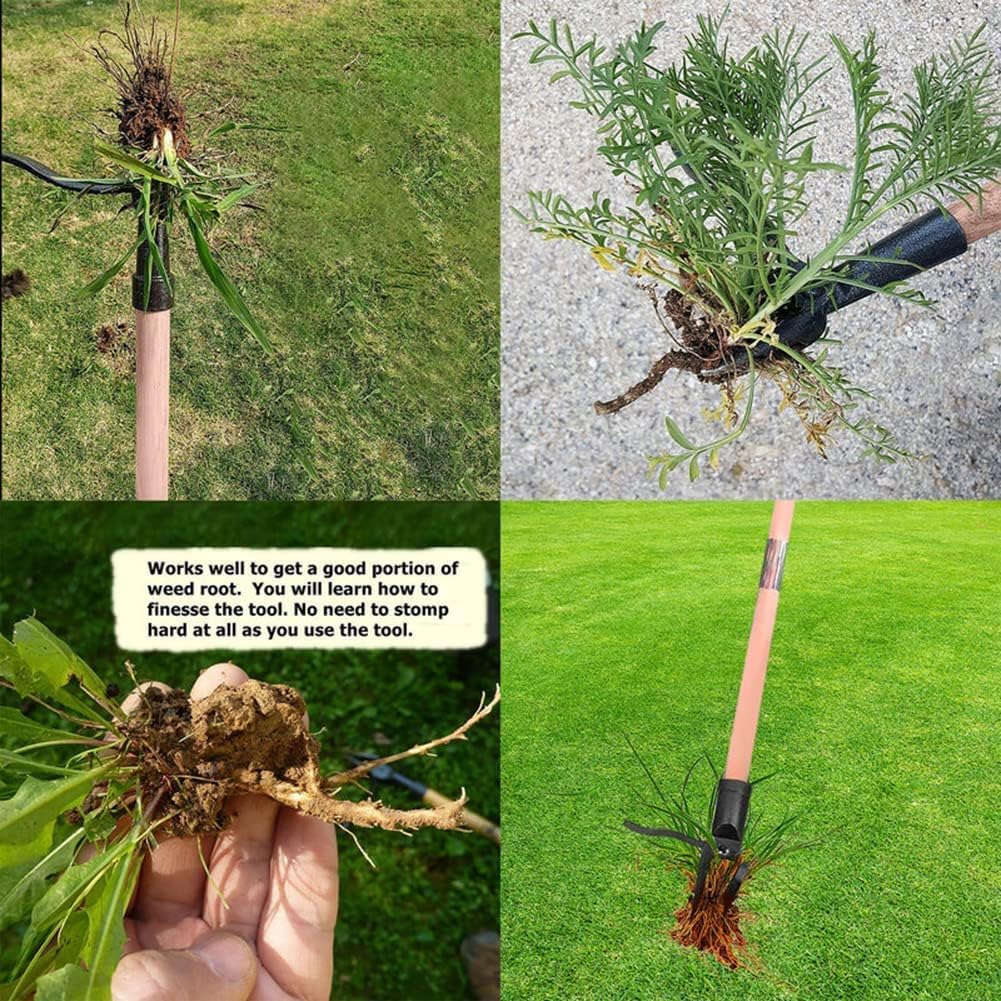 WeedZap Pro Weed Remover