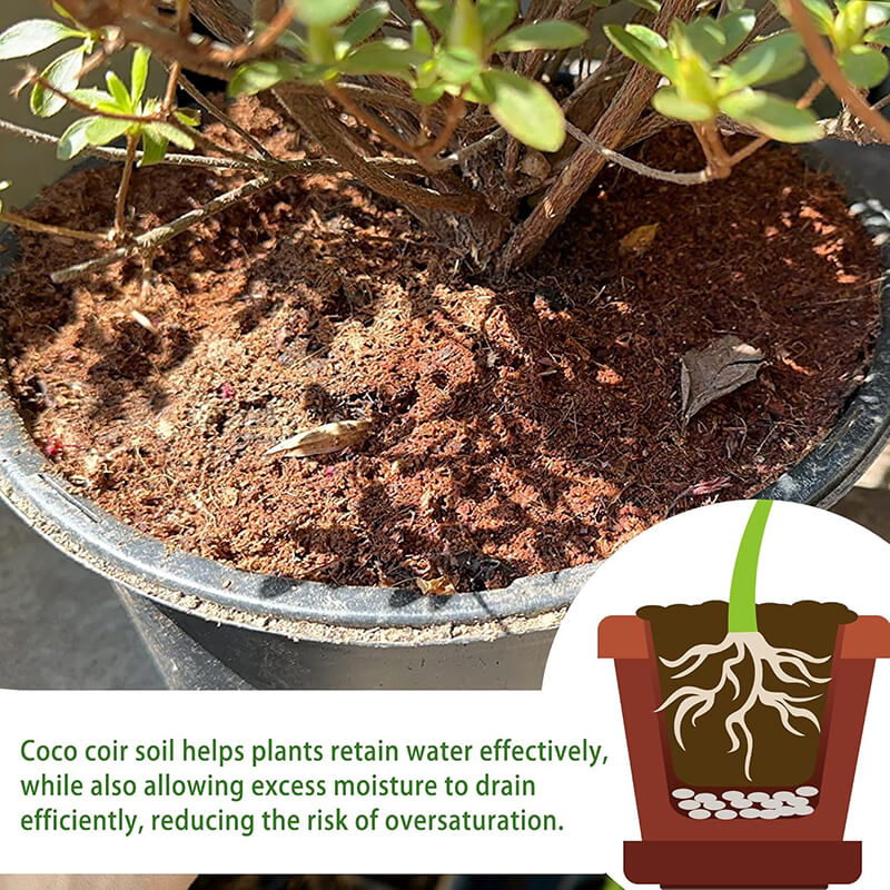 Premium Organic Coconut Coir Plant Bricks