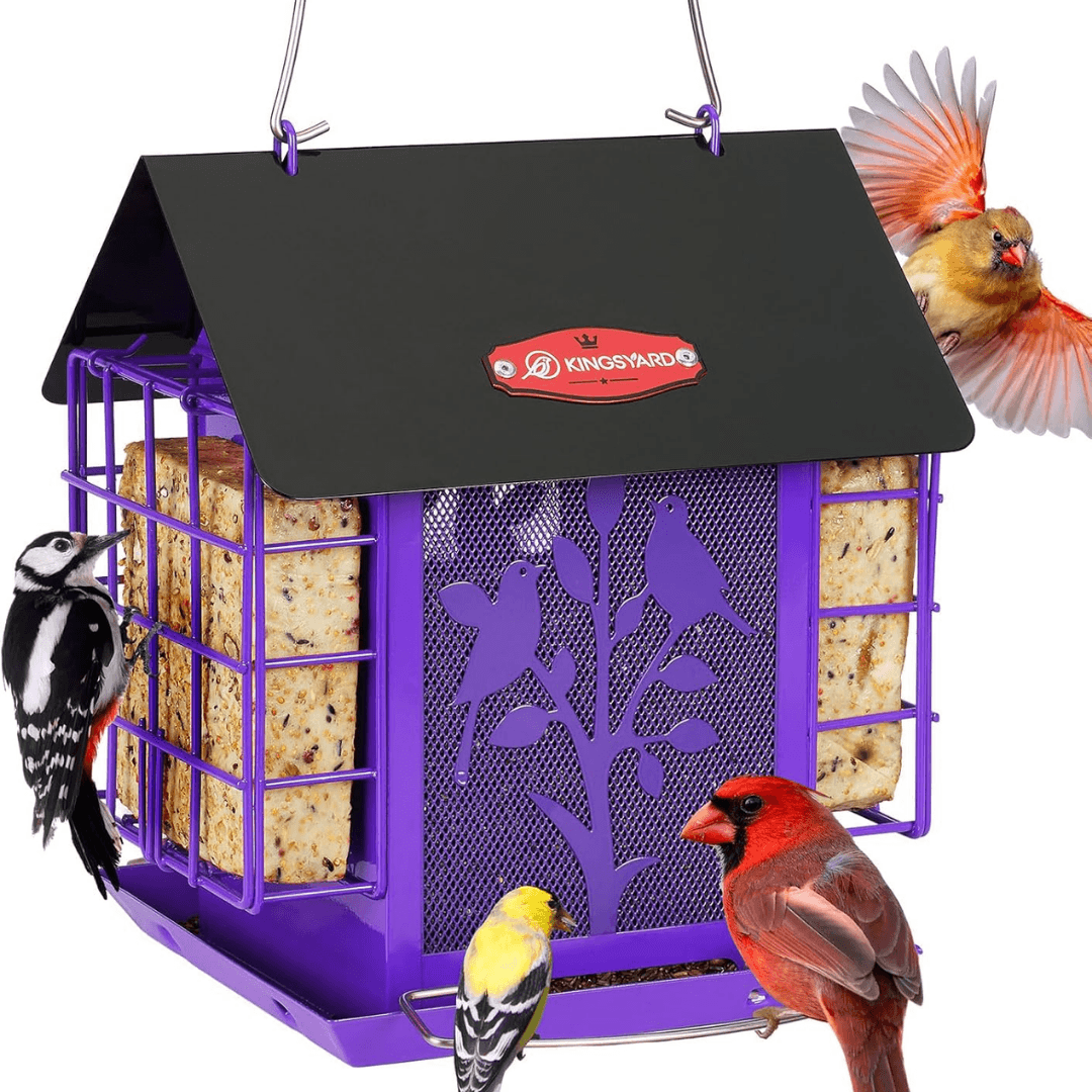 3lb Suet & Seed Bird Feeder – Weatherproof Roof Design