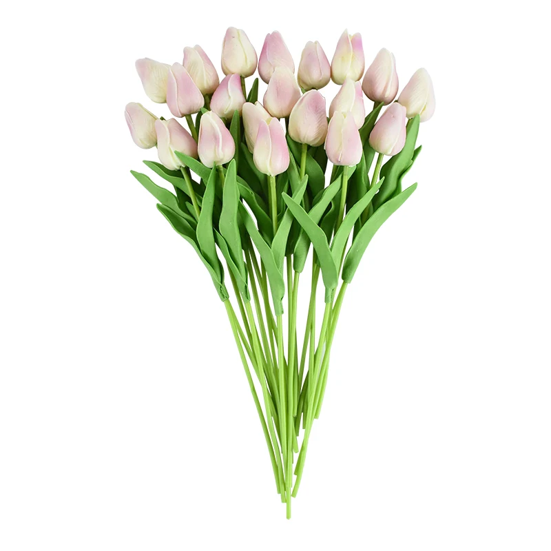 Simply Elegant Tulips