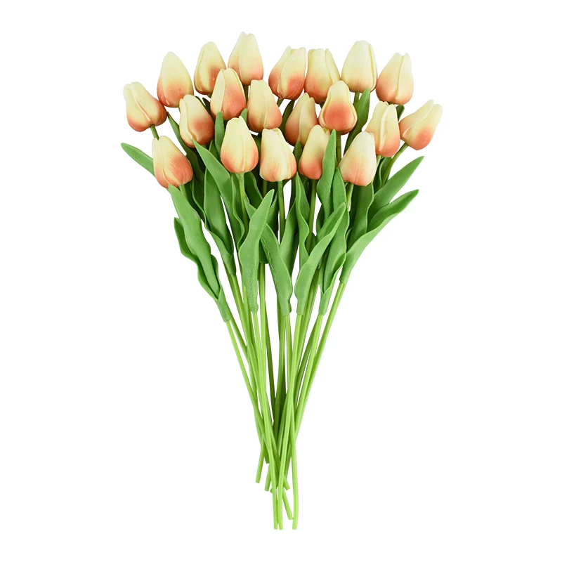 Simply Elegant Tulips