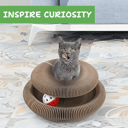 Kitty Curlz™ Magnetic Play System