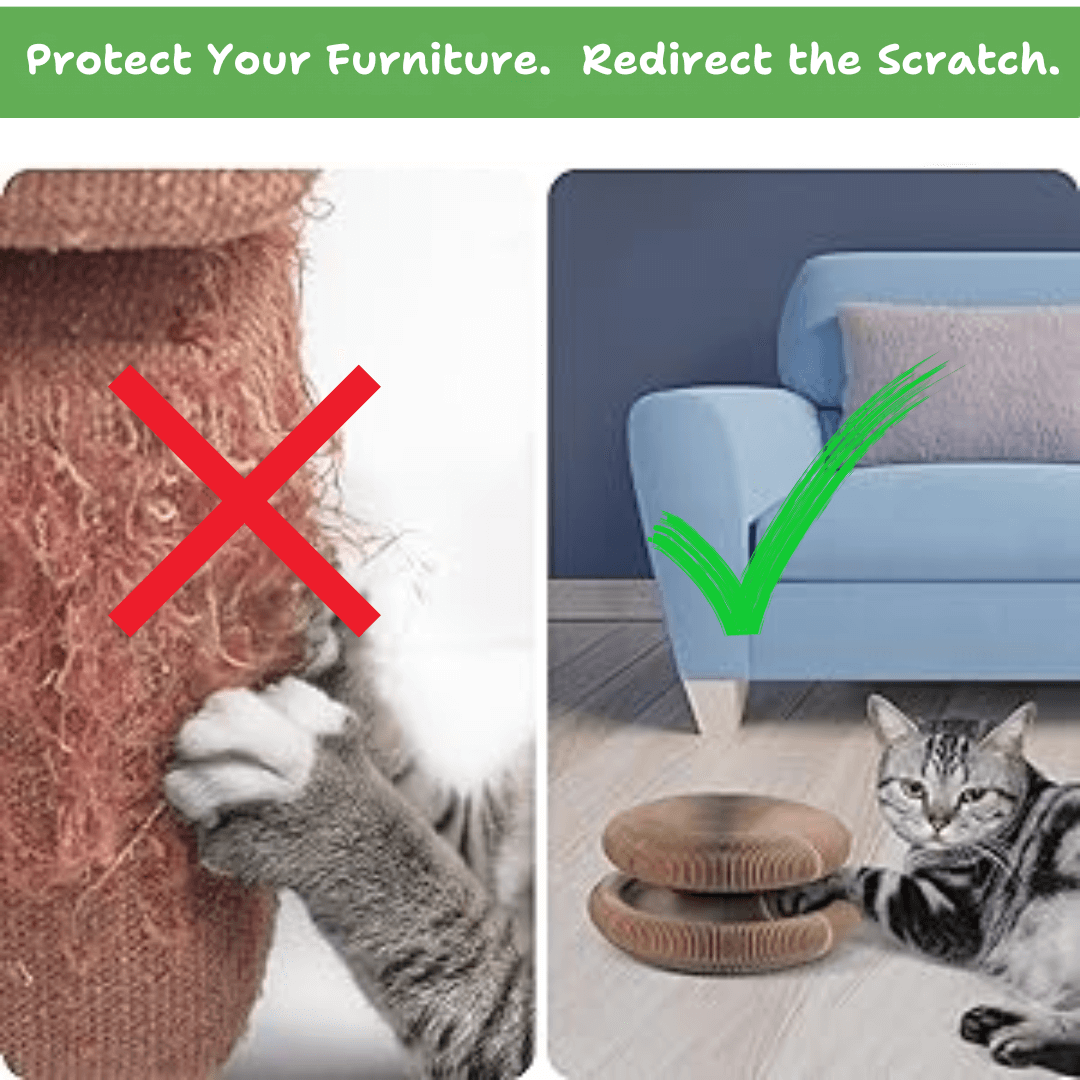 Kitty Curlz™ Magnetic Play System
