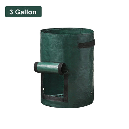 Vegetable Grow Bags