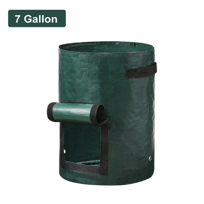 Vegetable Grow Bags