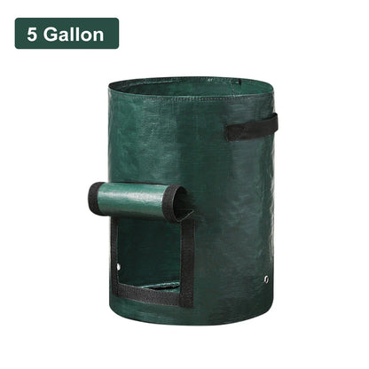 Vegetable Grow Bags