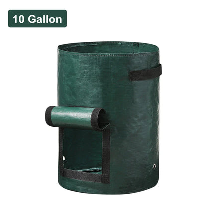 Vegetable Grow Bags