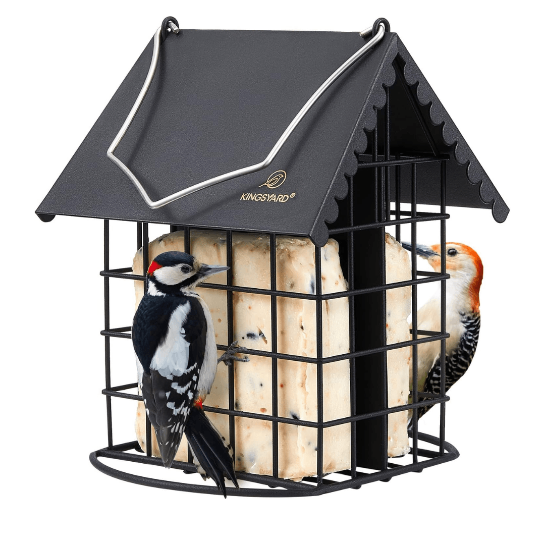 Dual Suet Bird Feeder – All-Metal Hanging Design