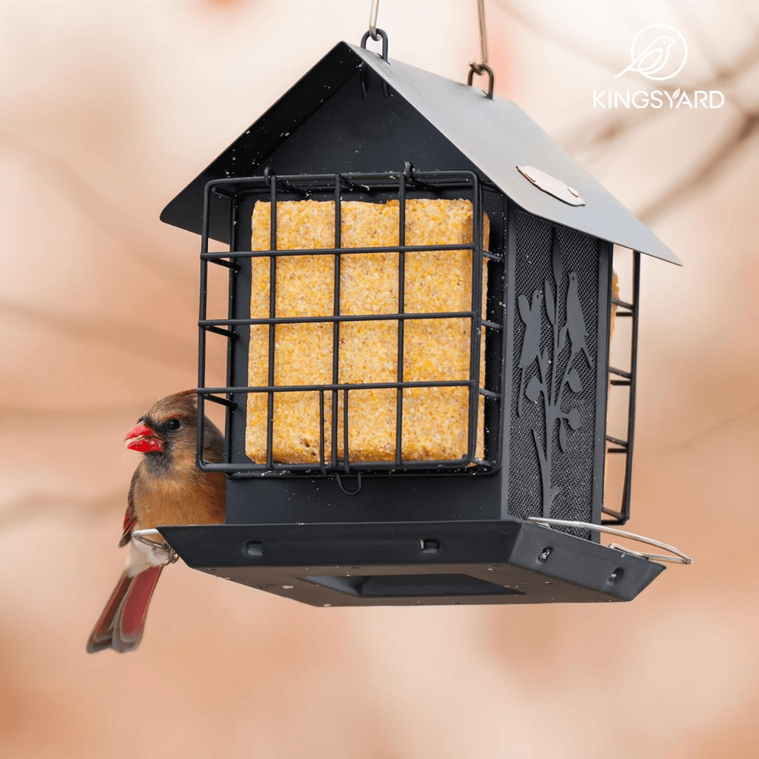 3lb Suet & Seed Bird Feeder – Weatherproof Roof Design