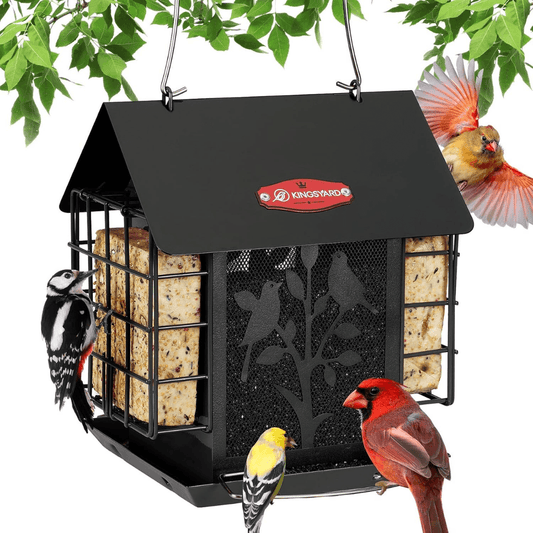3lb Suet & Seed Bird Feeder – Weatherproof Roof Design