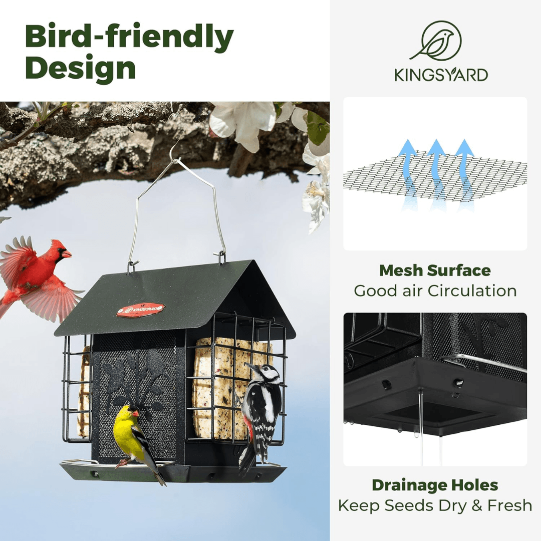 3lb Suet & Seed Bird Feeder – Weatherproof Roof Design