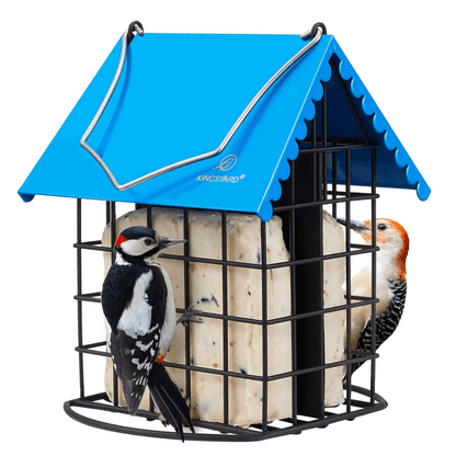Dual Suet Bird Feeder – All-Metal Hanging Design
