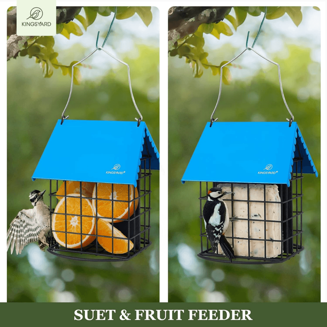 Dual Suet Bird Feeder – All-Metal Hanging Design