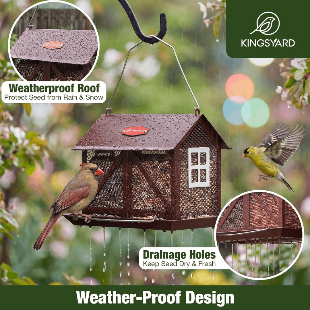 5lb Barn Style Bird Feeder – Large Capacity Design
