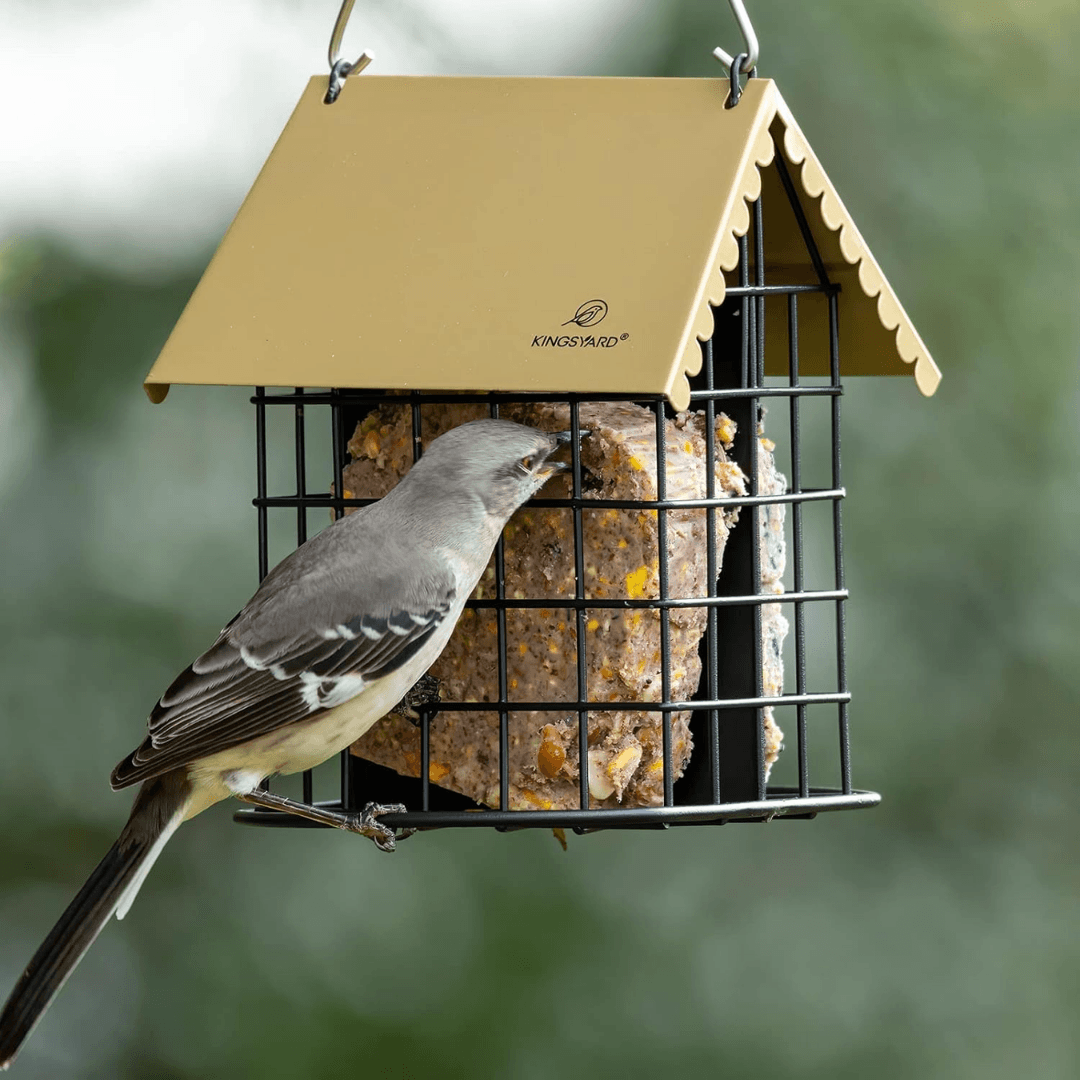 Dual Suet Bird Feeder – All-Metal Hanging Design