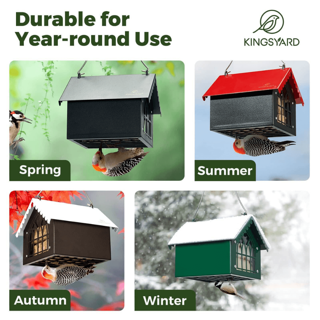 Upside-Down Suet Bird Feeder – Woodpecker Design