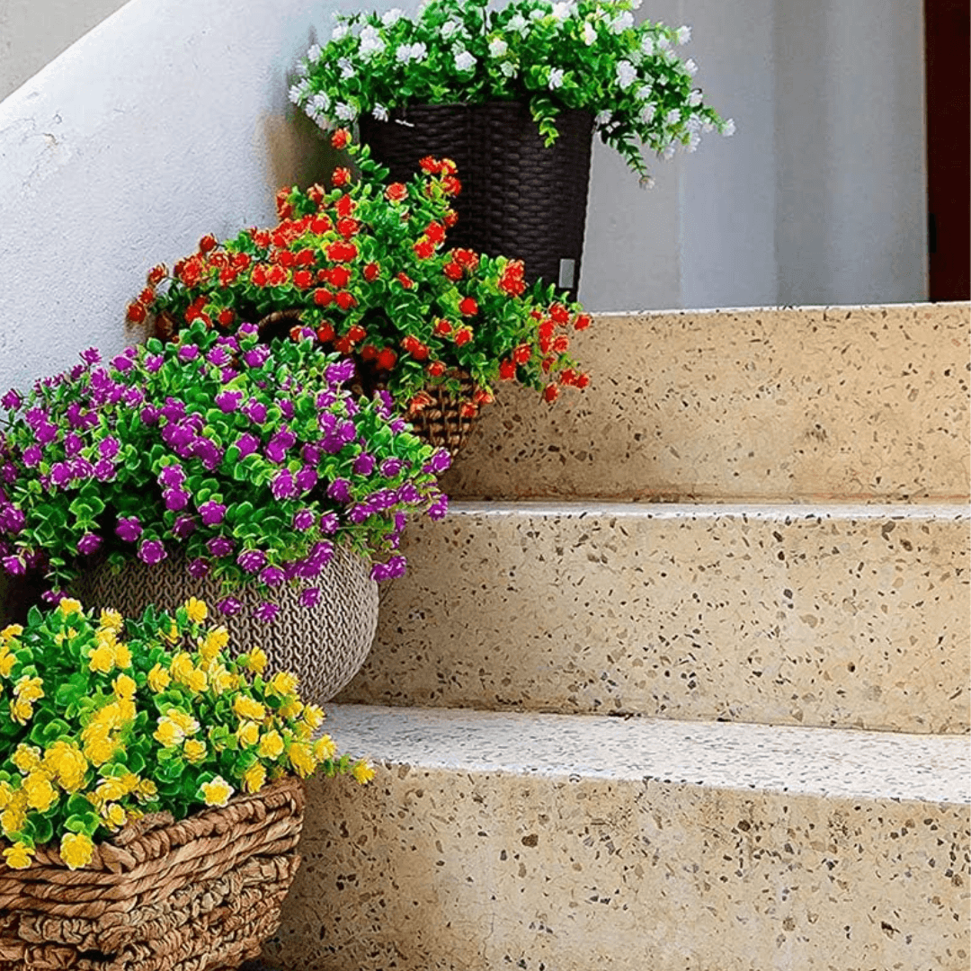 Decorative potted plants on stone steps