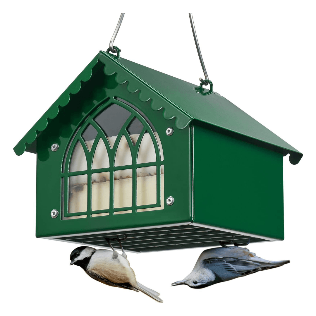 Upside-Down Suet Bird Feeder – Woodpecker Design