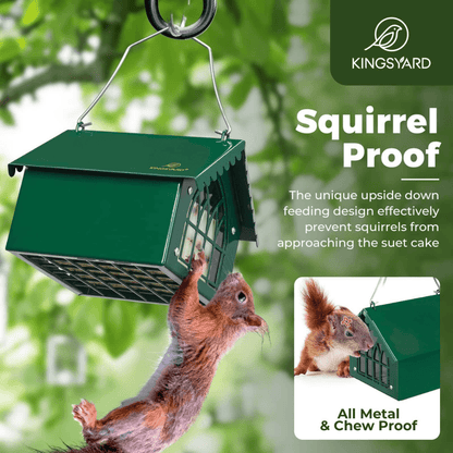 Upside-Down Suet Bird Feeder – Woodpecker Design