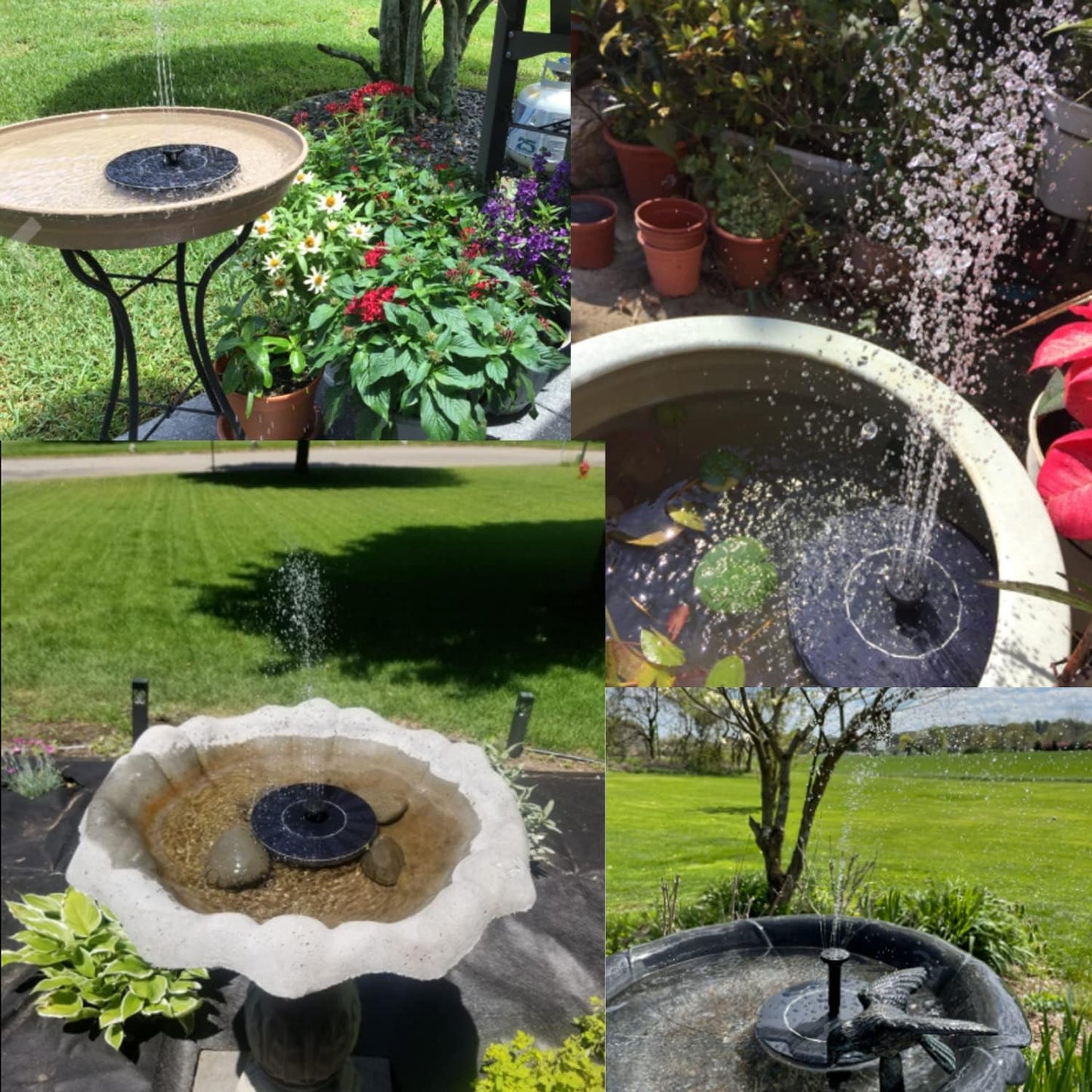 Sunny Days Bird Bath Fountain