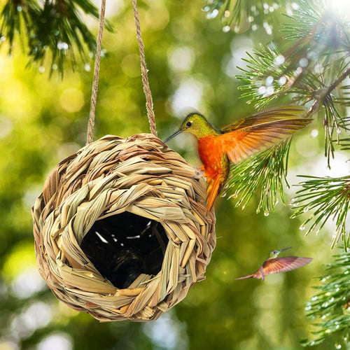 Charming Hummingbird Haven