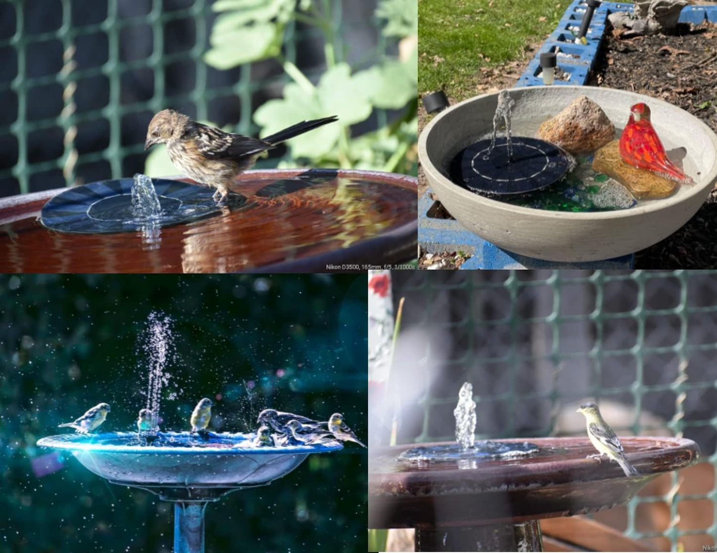 Sunny Days Bird Bath Fountain
