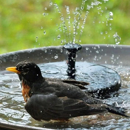 Sunny Days Bird Bath Fountain