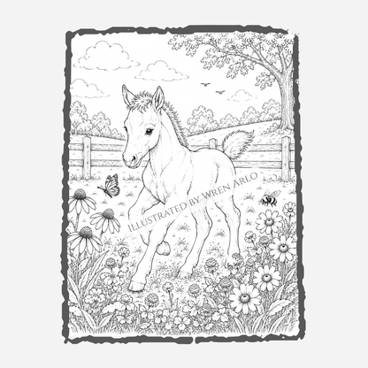 Innocence of Foals: Coloring Book