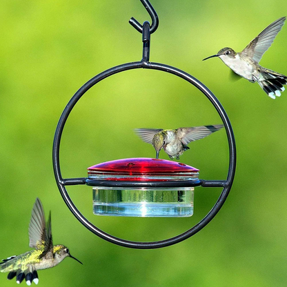 Cascading Hummingbird Feeder