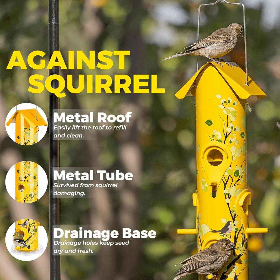 2lb Hanging Bird Feeder with Perches – 6-Port Feeding Design