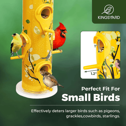 2lb Hanging Bird Feeder with Perches – 6-Port Feeding Design