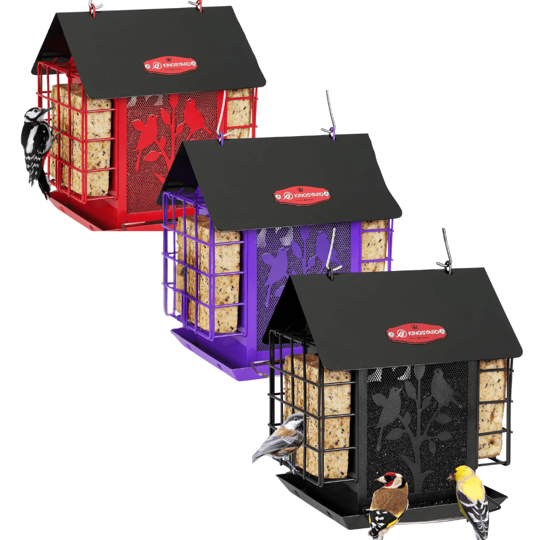 3lb Suet & Seed Bird Feeder – Weatherproof Roof Design