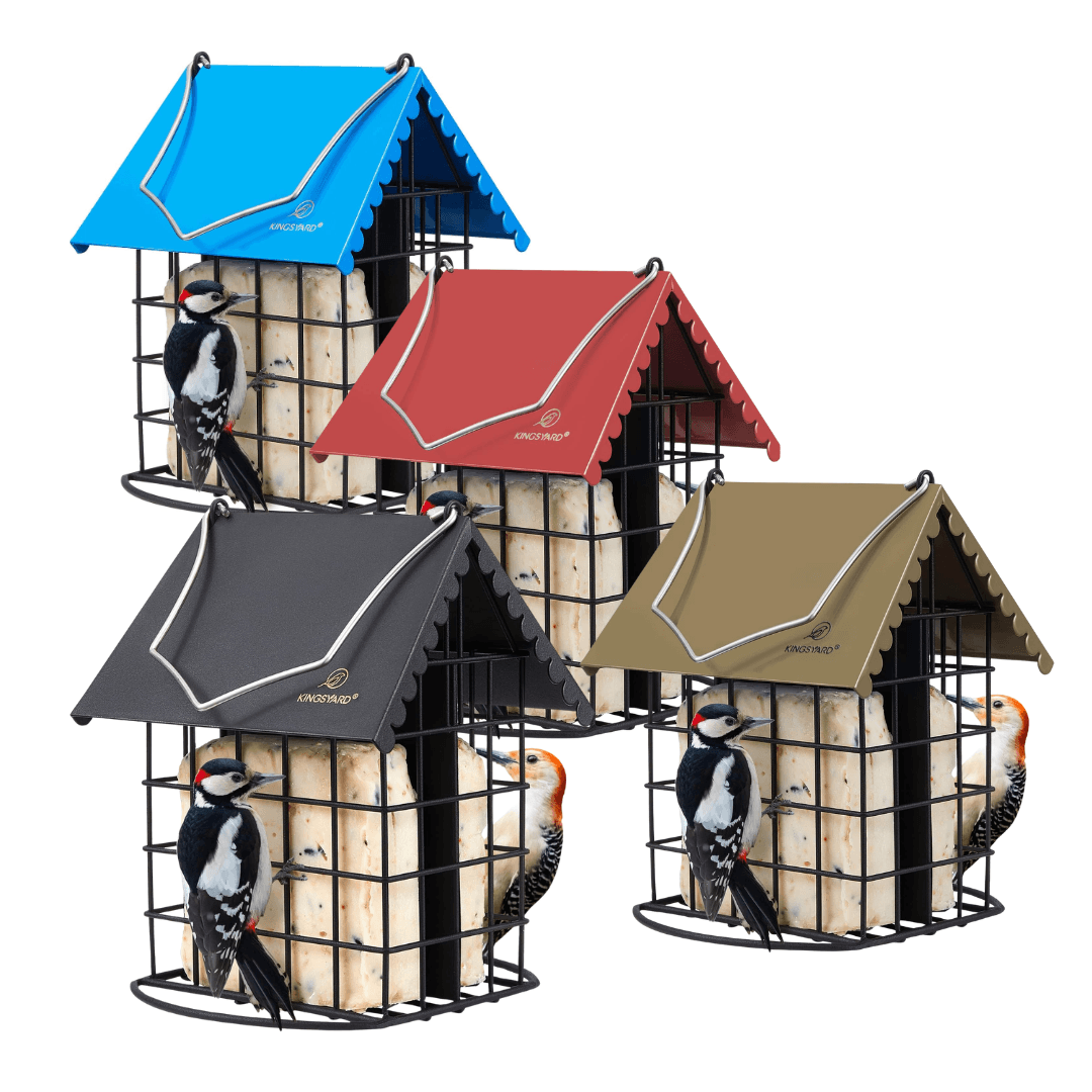 Dual Suet Bird Feeder – All-Metal Hanging Design