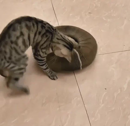 Kitty Curlz™ Magnetic Play System